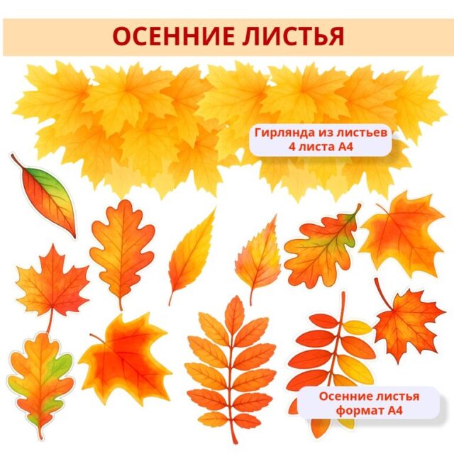 Оформление кабинета "Осенние листья"