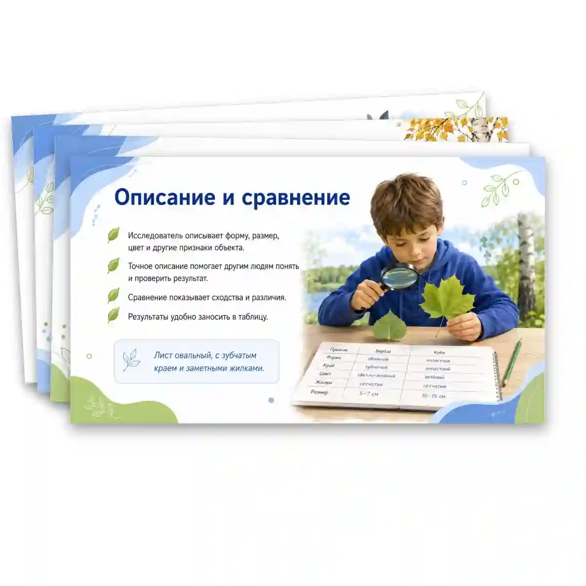 Презентация "Как человек изучает окружающую природу?" — изображение 11