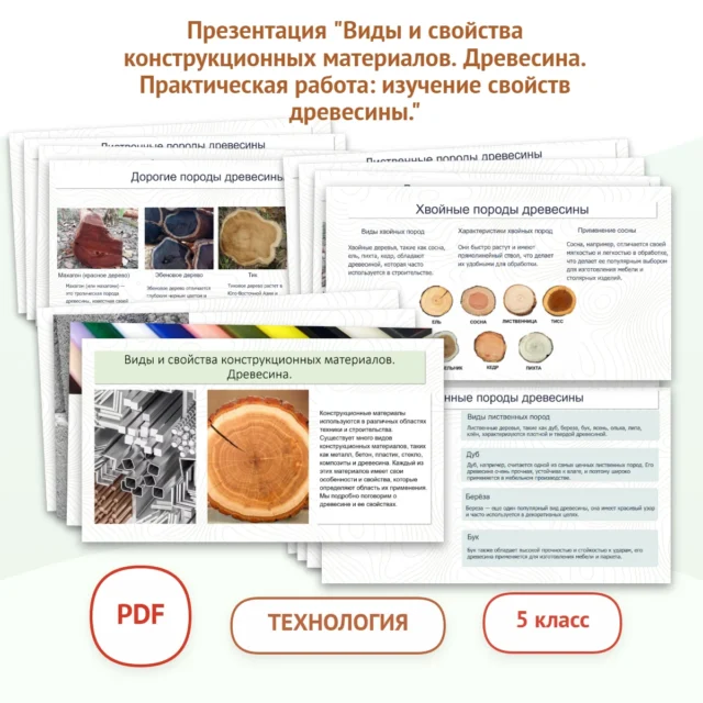 Презентация "Виды и свойства конструкционных материалов. Древесина. Практическая работа: изучение свойств древесины."