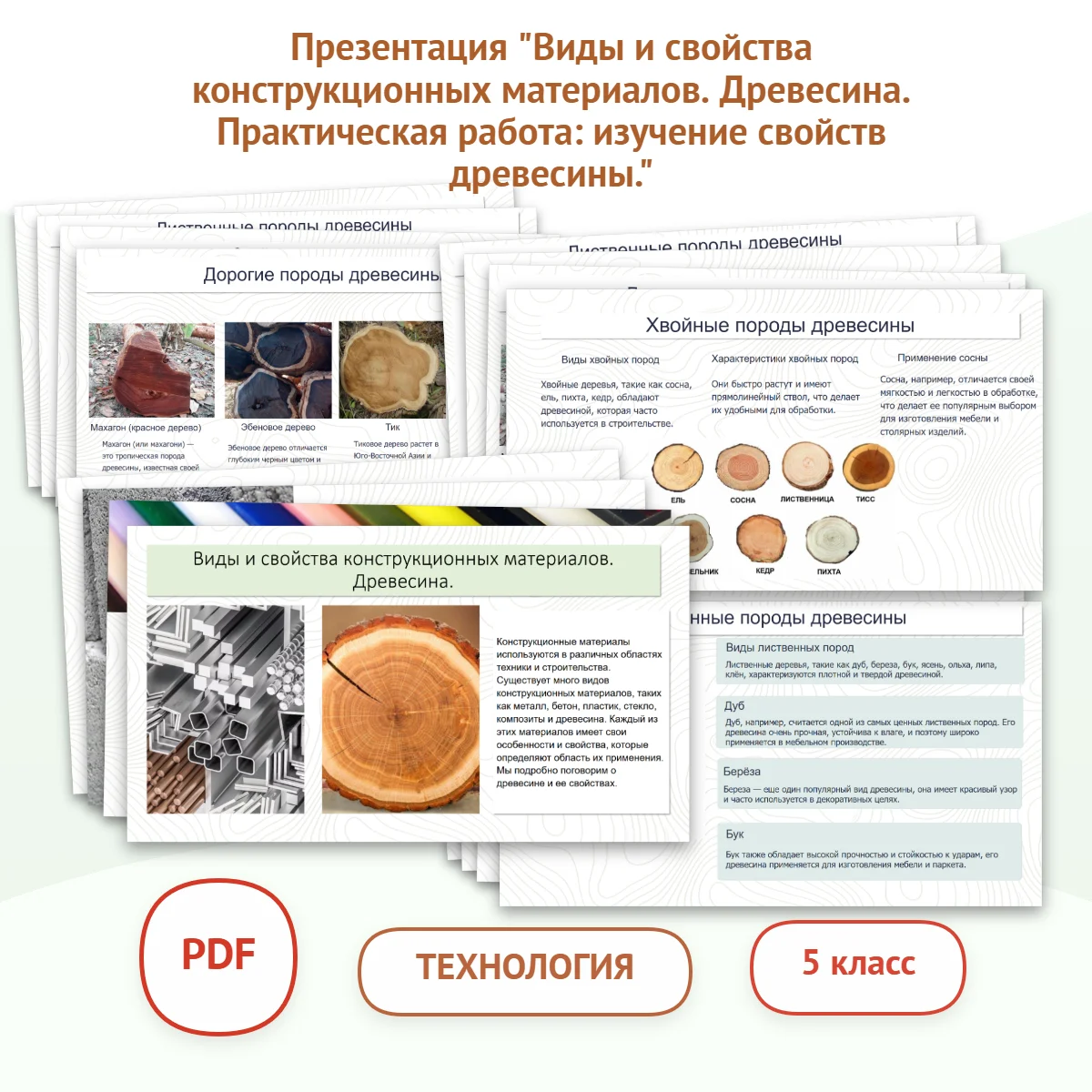 Презентация "Виды и свойства конструкционных материалов. Древесина. Практическая работа: изучение свойств древесины."