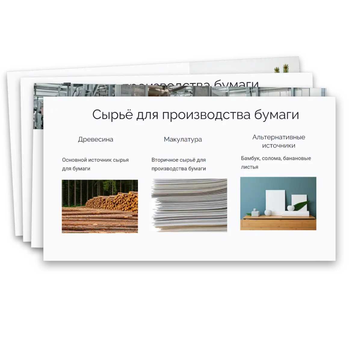 Презентация "Производство бумаги, история и современные технологии" — изображение 6