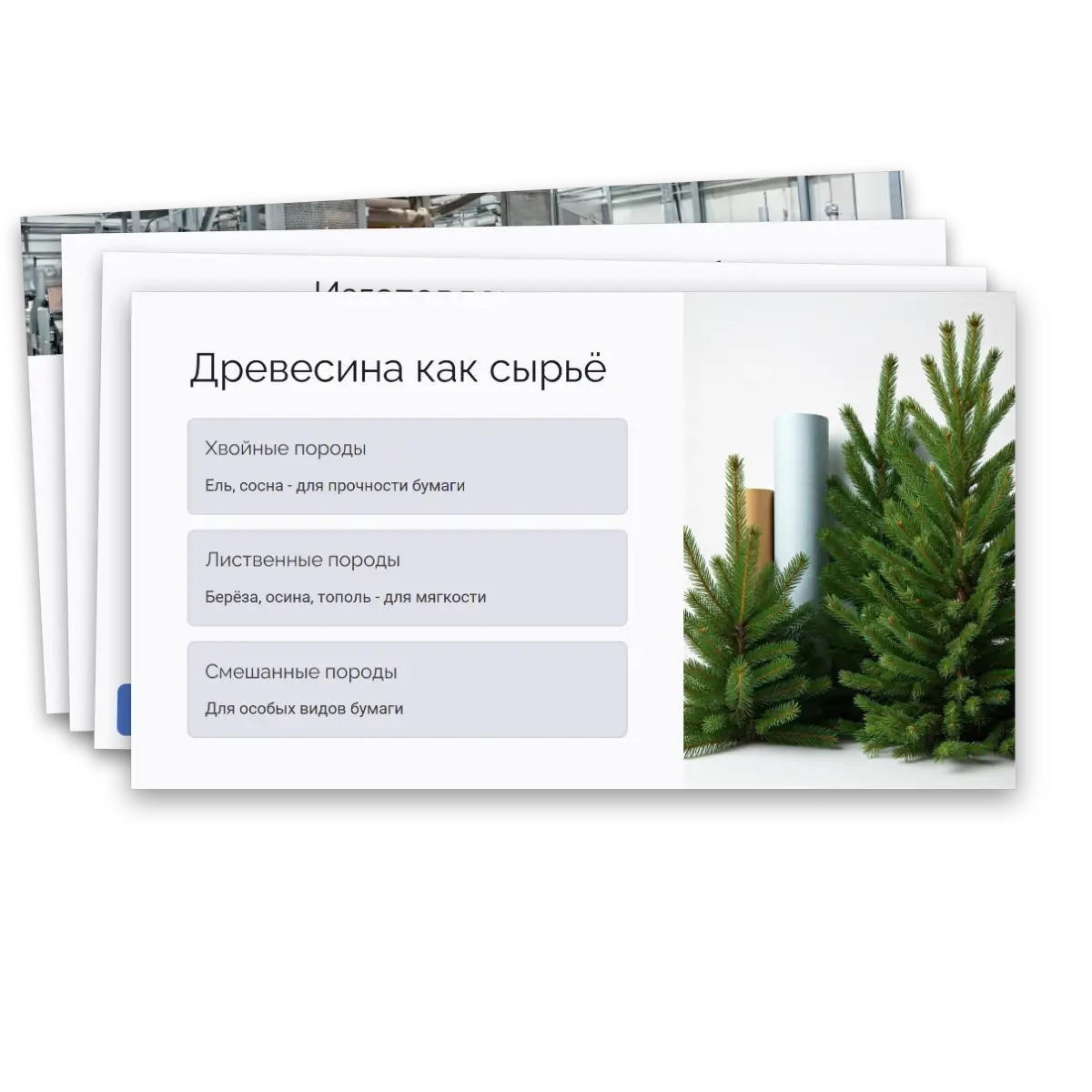 Презентация "Производство бумаги, история и современные технологии" — изображение 12