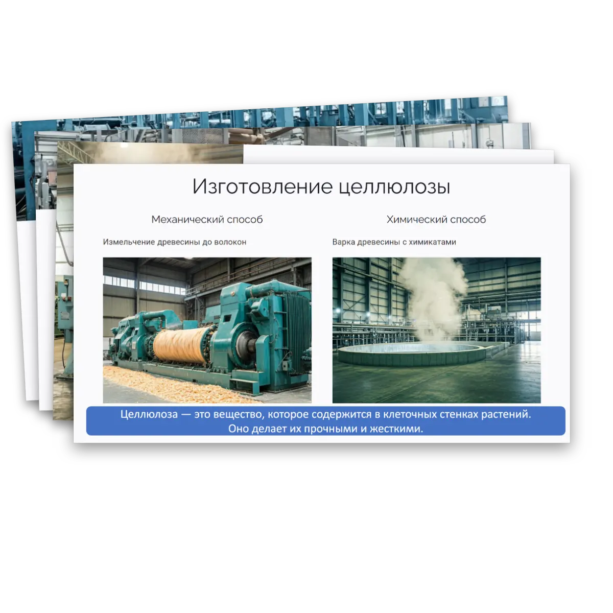 Презентация "Производство бумаги, история и современные технологии" — изображение 9