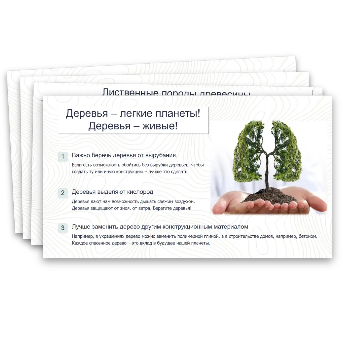 Презентация "Виды и свойства конструкционных материалов. Древесина. Практическая работа: изучение свойств древесины." — изображение 10