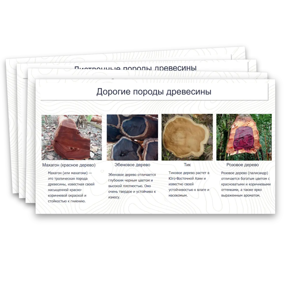 Презентация "Виды и свойства конструкционных материалов. Древесина. Практическая работа: изучение свойств древесины." — изображение 14