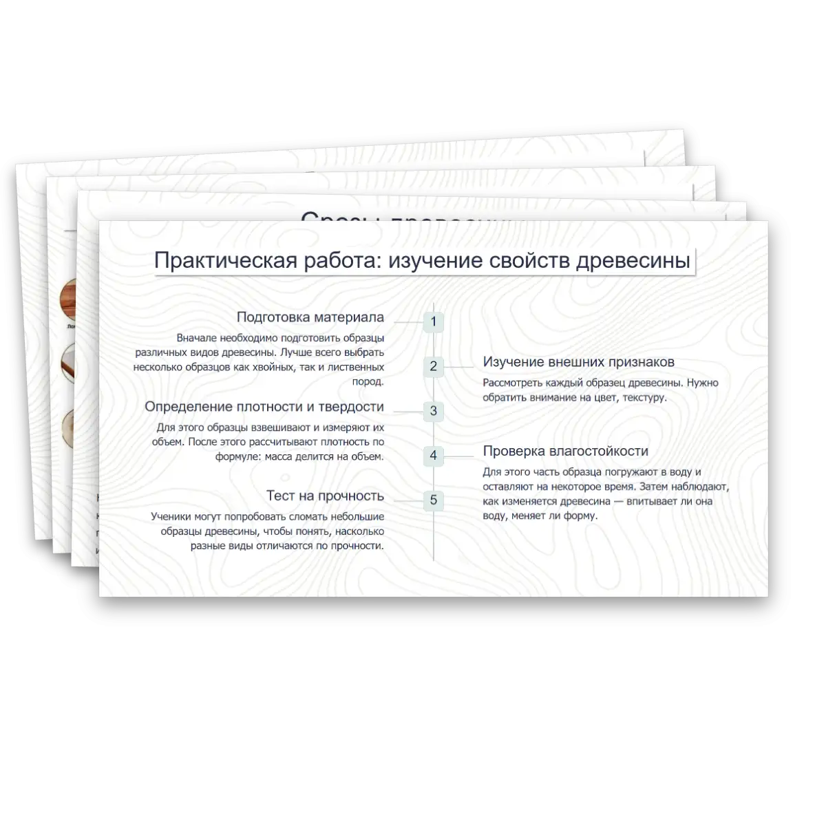 Презентация "Виды и свойства конструкционных материалов. Древесина. Практическая работа: изучение свойств древесины." — изображение 19