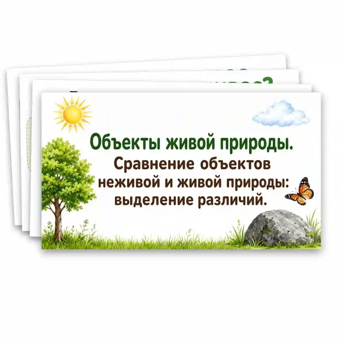 Презентация "Объекты живой природы. Сравнение объектов неживой и живой природы: выделение различий."
