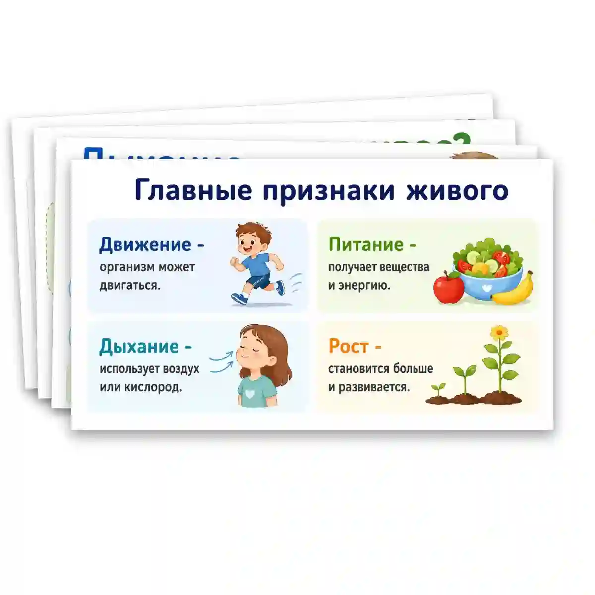 Презентация "Объекты живой природы. Сравнение объектов неживой и живой природы: выделение различий." — изображение 7