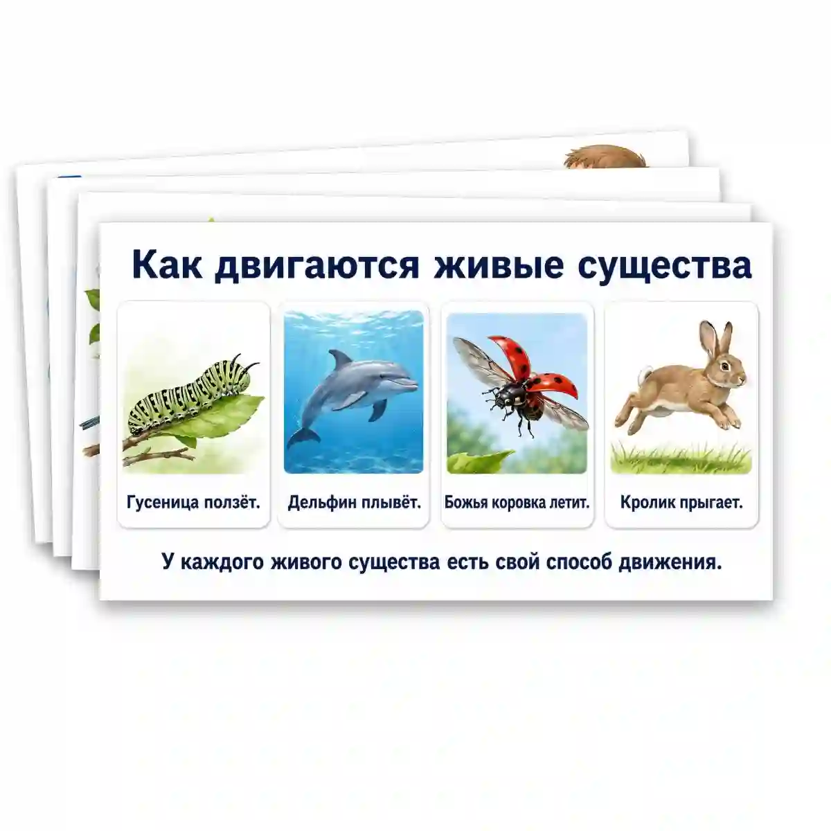 Презентация "Объекты живой природы. Сравнение объектов неживой и живой природы: выделение различий." — изображение 6