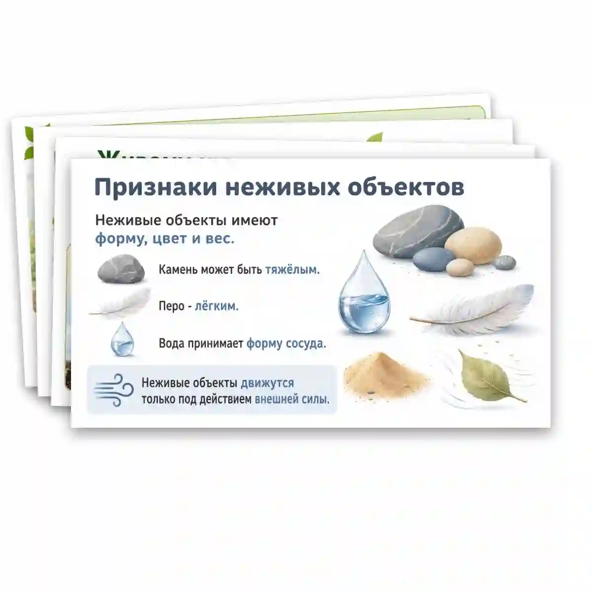 Презентация "Объекты живой природы. Сравнение объектов неживой и живой природы: выделение различий." — изображение 8